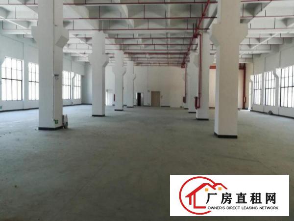  单层面积600平800平1000平1500平出租高新科技园