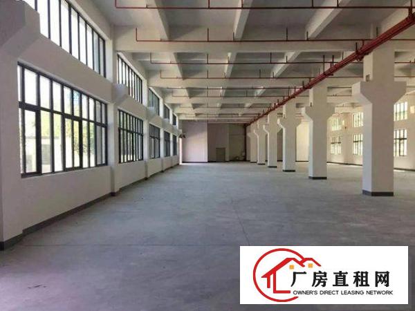  单层面积600平800平1000平1500平出租高新科技园