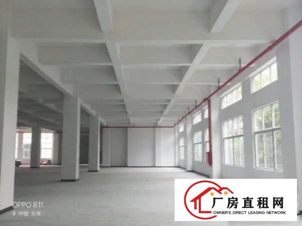  单层面积600平800平1000平1500平出租高新科技园