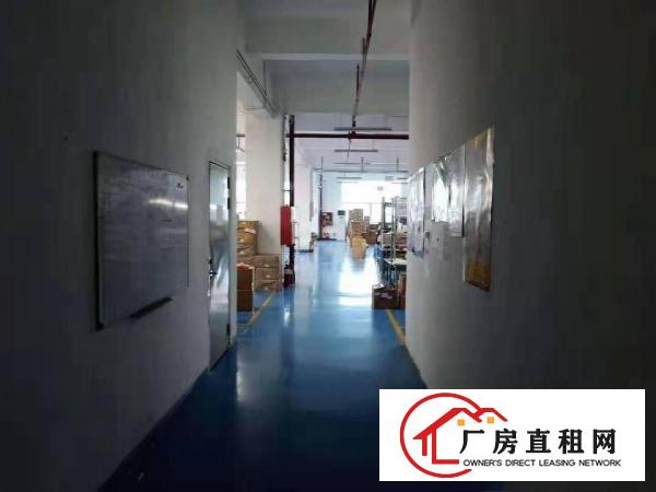  电子厂转让，二楼1000平方，有电梯，装修，不用转让费