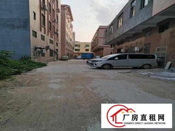  常平镇漱新全新厂房仓库一楼二楼出租