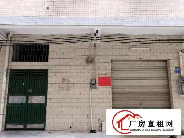  大小民房苏坑周边交通便利可分租