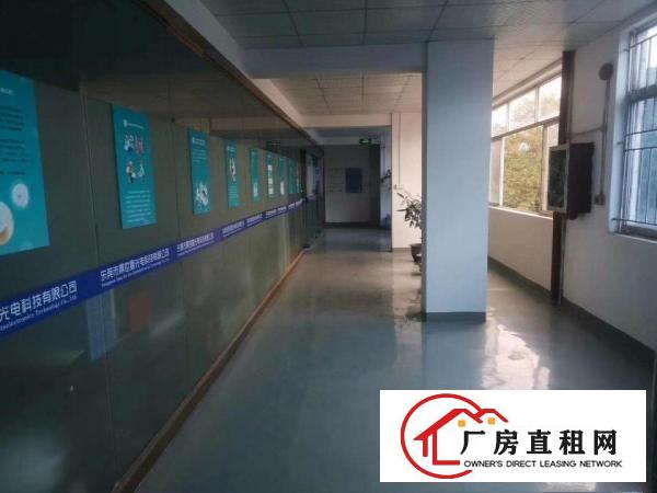  常平镇原房东厂房分租二楼2000平方