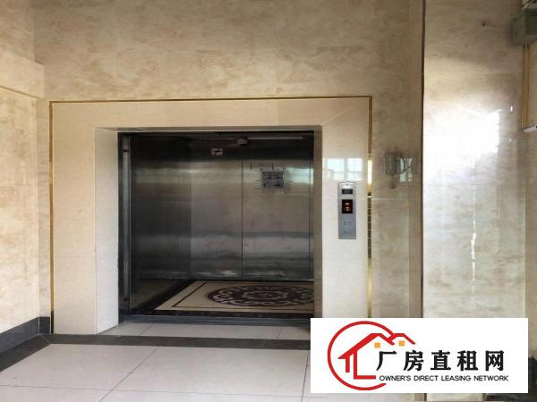  东照大厦厂房仓库写字楼招租