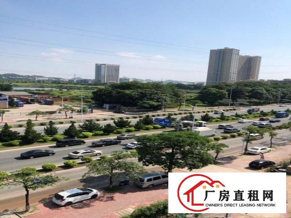  东照大厦厂房仓库写字楼招租