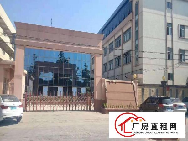  常平环城路边豪华办公室，地平漆，无尘车间，全面升级改造完成
