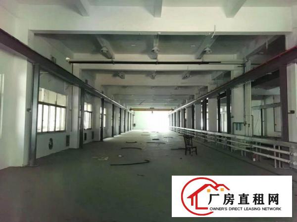  常平环城路边豪华办公室，地平漆，无尘车间，全面升级改造完成
