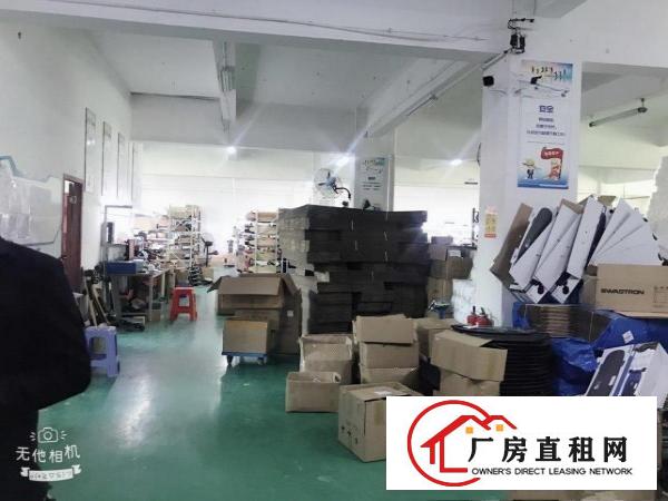  业主直租常平镇金美科技园二楼1300平精装修出租