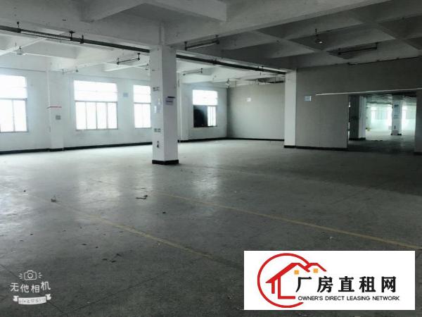  业主直租常平镇苏坑科技园新空二楼1700平精装修出租
