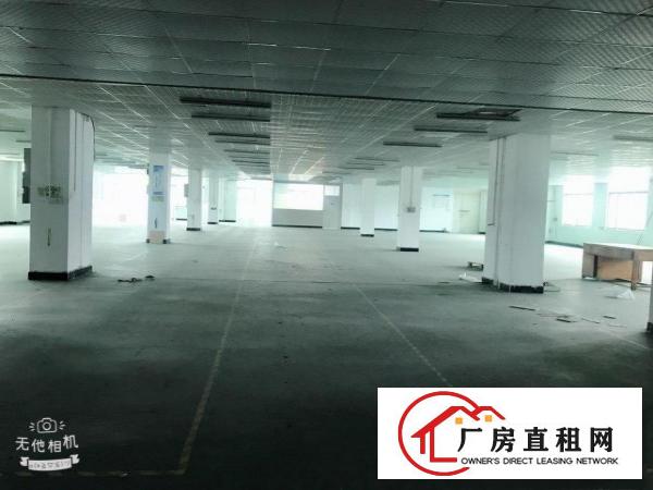  业主直租常平镇苏坑科技园新空二楼1700平精装修出租