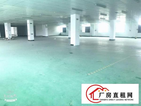  业主直租常平镇苏坑科技园新空二楼1700平精装修出租