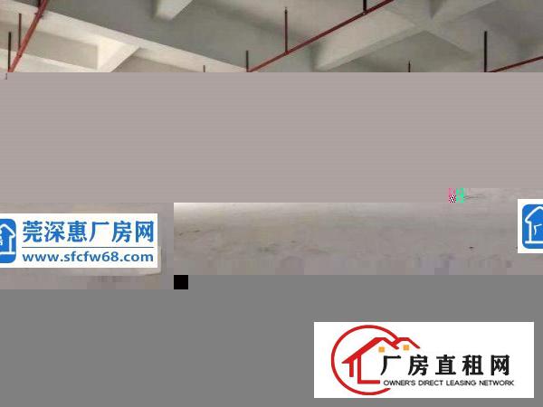  白石岗原房东出标准厂房三层面积共3300平方，空地超大
