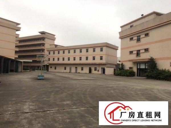  常平镇原房东独门独院（国土证）厂房出租形象好空地超大