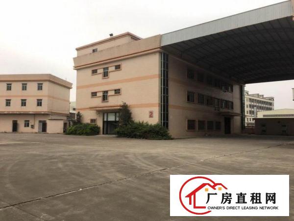  常平镇原房东独门独院（国土证）厂房出租形象好空地超大