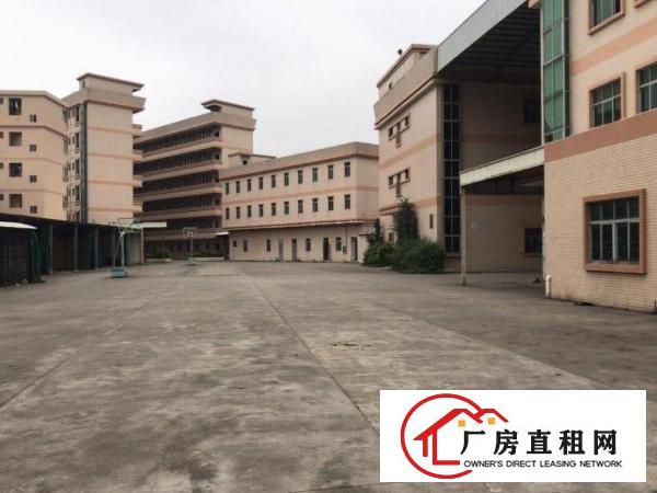  常平镇原房东独门独院（国土证）厂房出租形象好空地超大