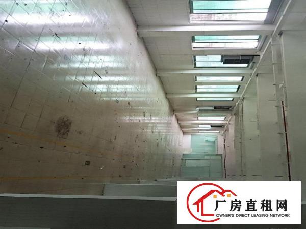  木伦精装修厂房，现成办公室