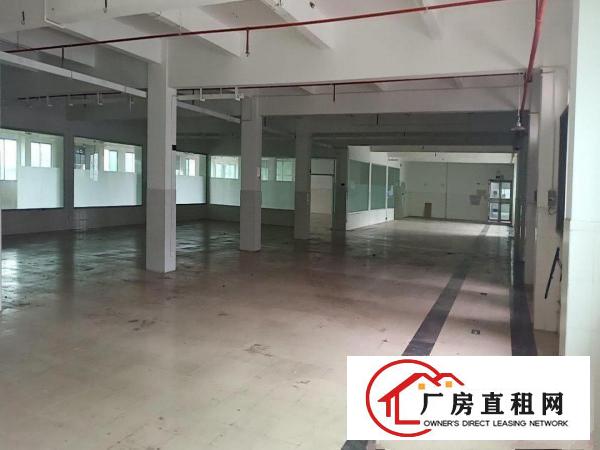  木伦精装修厂房，现成办公室