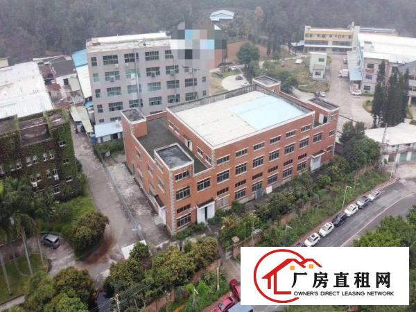  包租盘，喜欢就下手手慢就没了