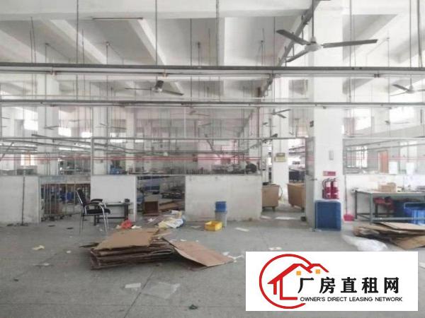  常平镇原房东独门独院厂房出租实际面积空地超大