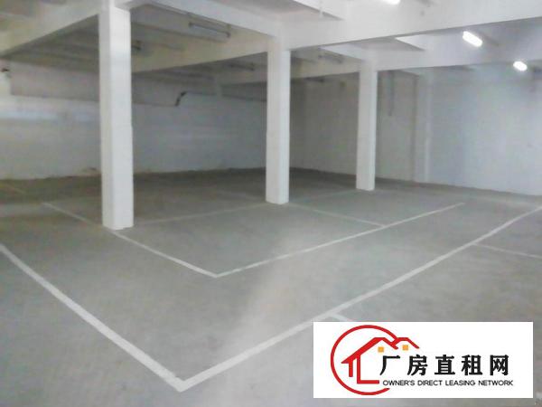  常平新出极高性价比一楼