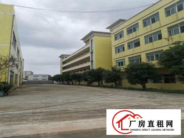  东莞常平独栋厂房招租