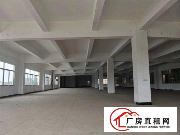  东莞常平独栋厂房招租