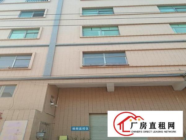  本厂招租，房东直租，有意者电联