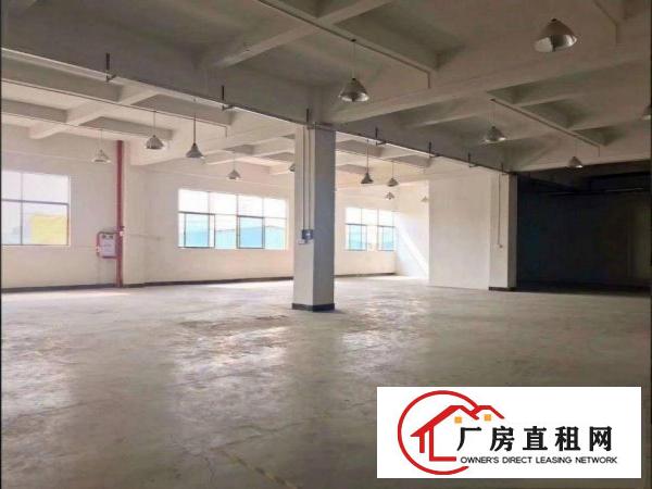  出租常平金美无公摊独院分租二楼1800平方7米高精装