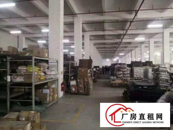  出租常平大量原房东标准钢构厂房500平1000平2000平等