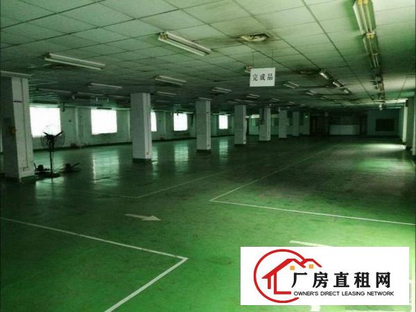  出租常平司马工业区新空出楼上1200平米带装修，水电齐全