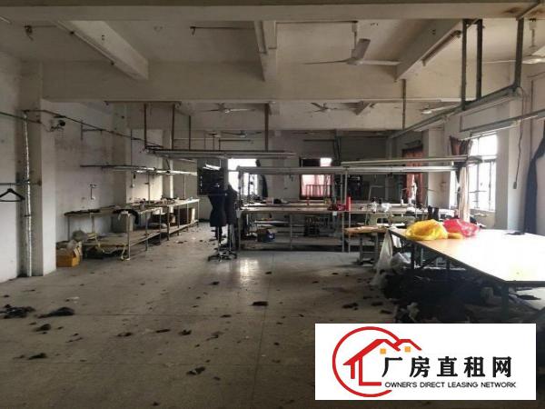  常黄路1200平厂房自建临街门面带宿舍