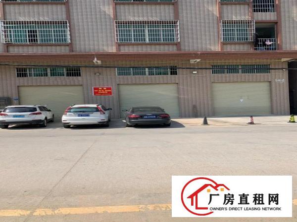  出租一楼常平镇苏坑村，环城路边，靠近大朗镇
