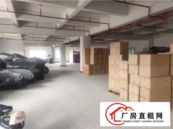  出租常平镇苏坑新出一700平厂房，原房东无公摊，租金便宜