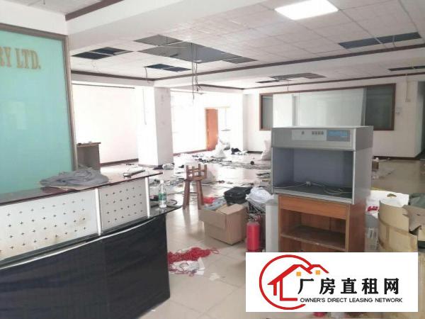  新出独门独院厂房，大小可分