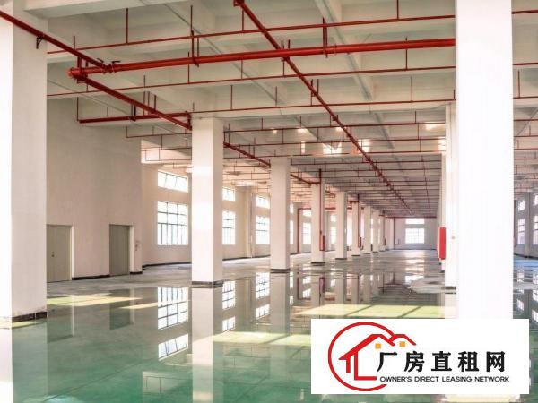  出租位于常平司马新建厂房，可以分层租