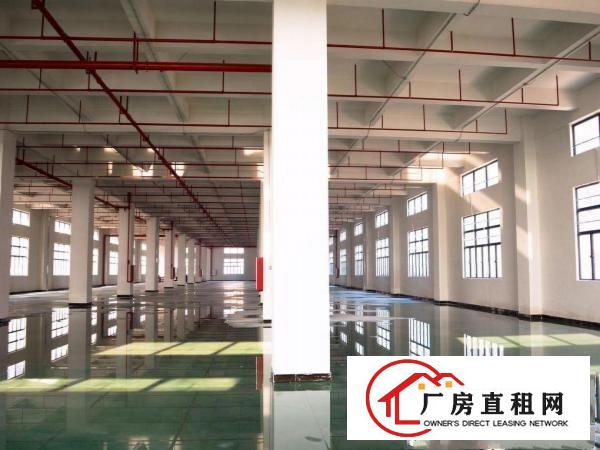 出租位于常平司马新建厂房，可以分层租