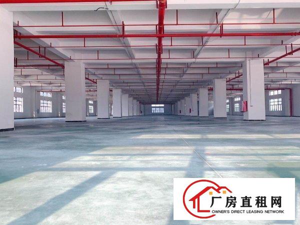  出租位于常平司马新建厂房，可以分层租