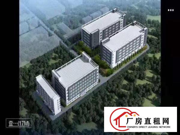  出租位于常平司马新建厂房，可以分层租