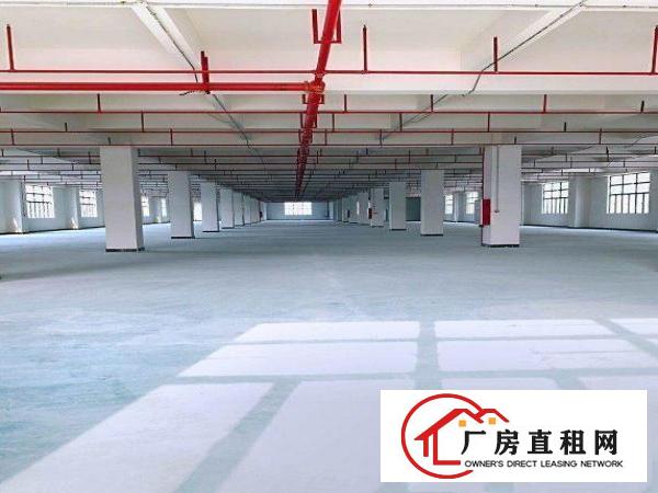  出租位于常平司马新建厂房，可以分层租