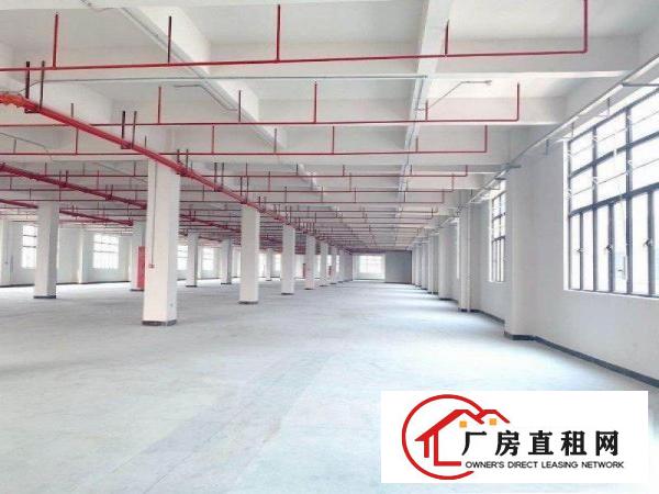  出租位于常平司马新建厂房，可以分层租