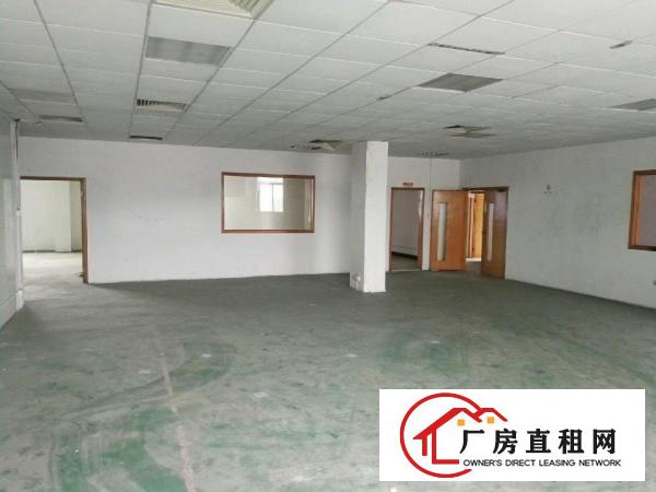  常平镇桥沥村原房东厂房