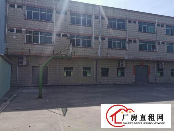  出租常平镇厂房优惠价
