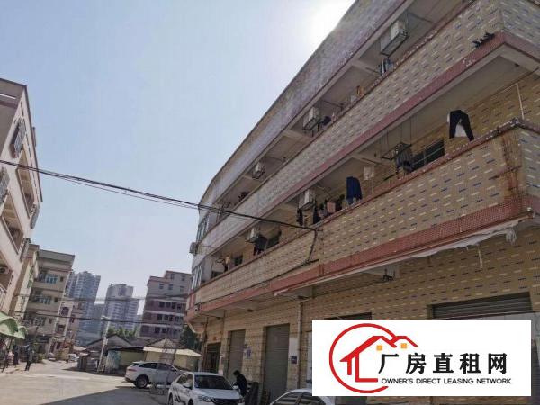  出租常平镇厂房优惠价