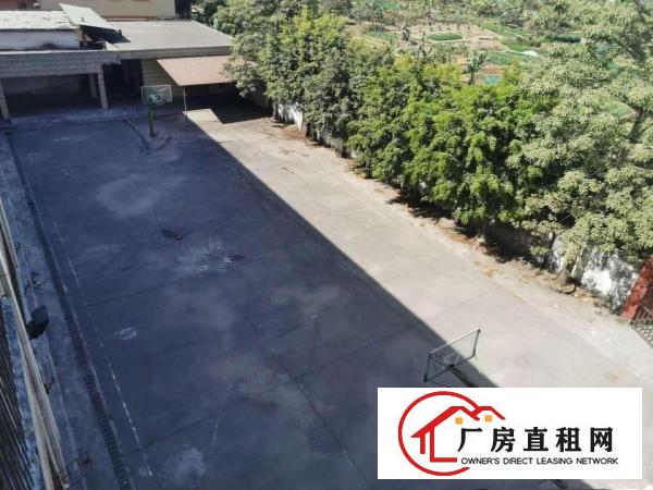  出租常平镇厂房优惠价