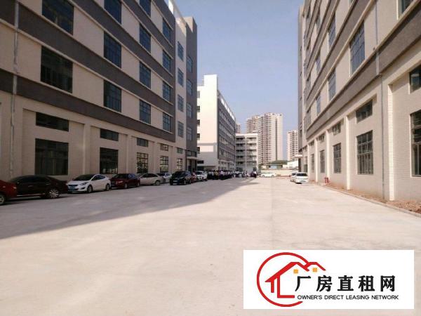  原房东新建重工业有红本厂房招租