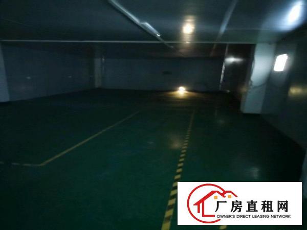  全新装修，无公摊二楼出租，带现成办公室