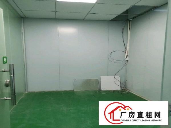 全新装修，无公摊二楼出租，带现成办公室