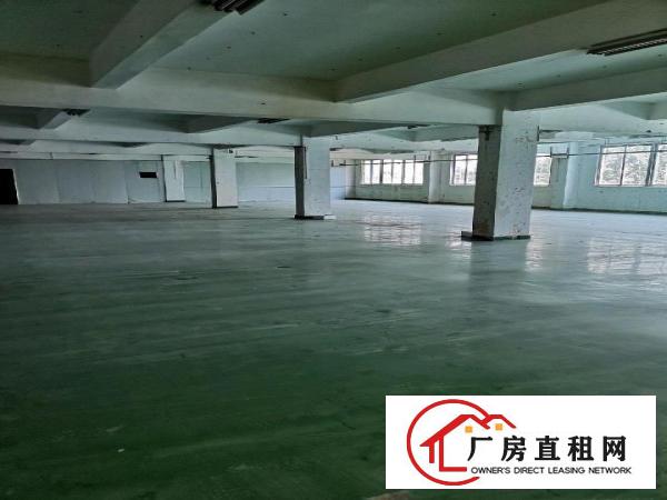  全新装修，无公摊二楼出租，带现成办公室