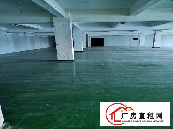  全新装修，无公摊二楼出租，带现成办公室
