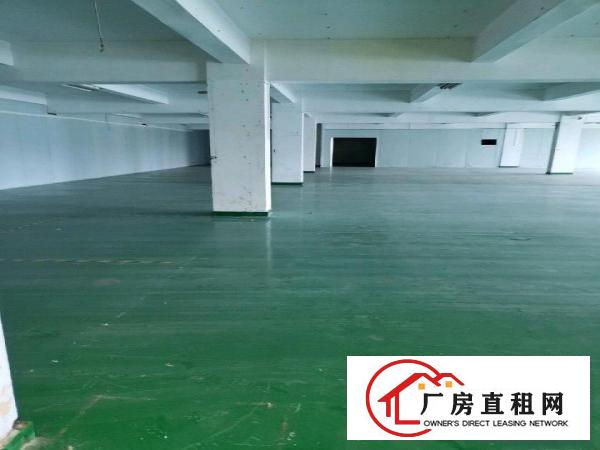  全新装修，无公摊二楼出租，带现成办公室